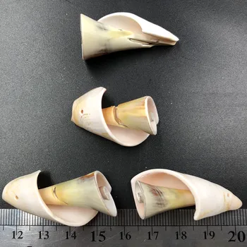 10vnt 3-4cm Viduržemio jūros regiono stiliaus Jūrmylių Dekoro Spiralės gamtos Seashell Scrapbooking 