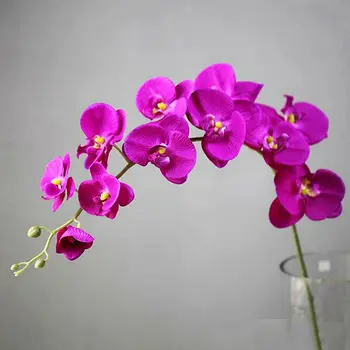 1pc Dirbtinių Drugelių Orchidėja Namų Vestuvių Šventė Decors 