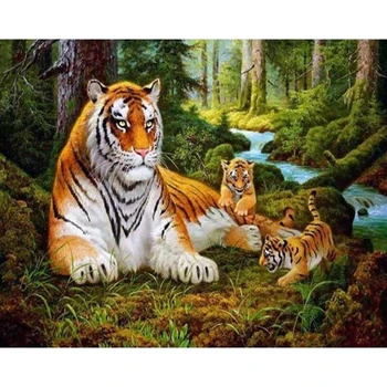 40x50cmPictures Tigras 