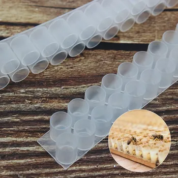 50 Vnt bitininkystės toolDouble eilučių irklas lankstumo profesionalių bitininkų surengti pienelis juostelės plastikinės equipmen