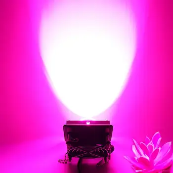Augti Žiburiai 4000K 60W LED Augalų Auga Šviesos Pilno Spektro Šilumos Išsklaidymo už Sultingi Augalai, Gėlės Šiltnamio efektą sukeliančių Hydroponics