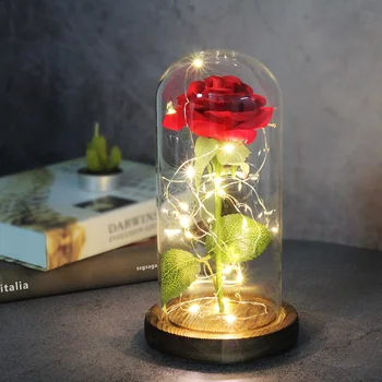 Gražus Eternal Rose Eternelle LED Šviesos, Grožio Ir Žvėrys Rose Stiklo Kupolas Motinos Gimtadienis, Valentino Diena Dovana