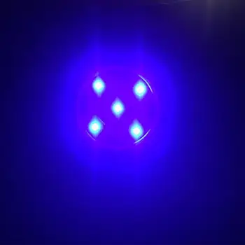 Lauko Sodo Vejos Palaidotas Saulės Šviesos 5 LED Požeminės Vandeniui Saulės Raudona Žalia Mėlyna Apšvietimas