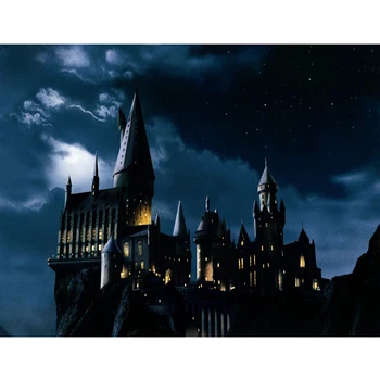 Magic Pilis Ragana Vedlys Hogvartso Fonas Fotografijai Halloween Naktį Mėnulio Fone Burtininkas Šalies Reklama Decors
