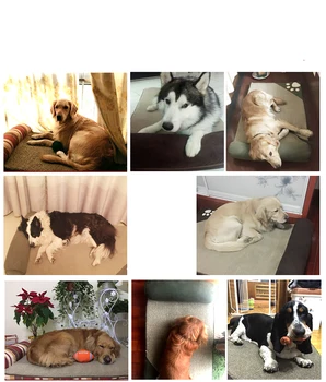 Naujas didelis šuo namuose sofos nuimamas šiltas pet kilimėlis kačių veislynas keturis sezonus skalbti kvadratinių pagalvę šunų lovos šuo lizdą prekes