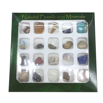 Ornamentas Amatų Vaikų Namų Puošybai Mokymo Medžiagos Natūralaus Akmens Įtaisą Naudinga Rūdos Nustatyti Patvarus Geologinių Mineralinių Kristalų